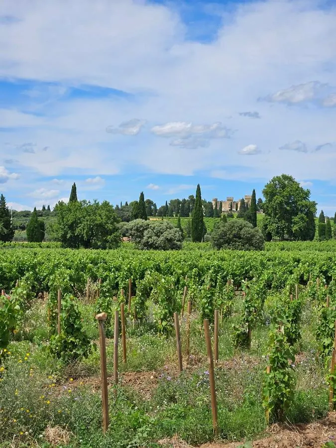 Le Willow Chateauneuf-du-Pape Apartment
